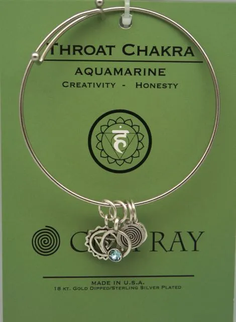 Clea Ray Silver Chakra Symbol Bangle Bracelets