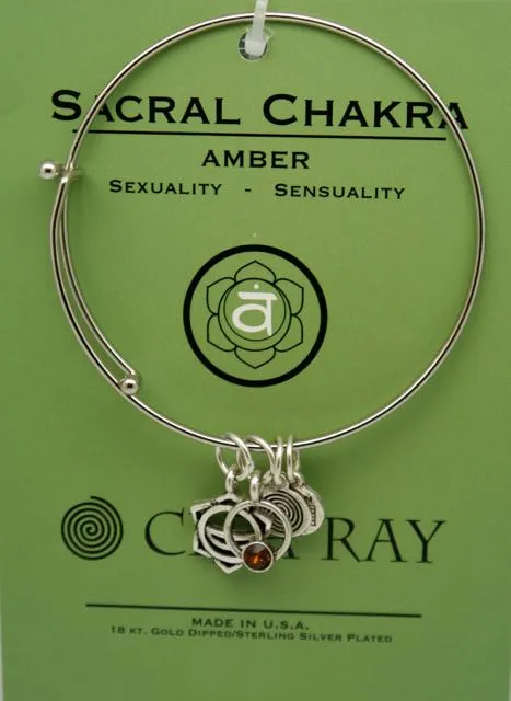 Clea Ray Silver Chakra Symbol Bangle Bracelets