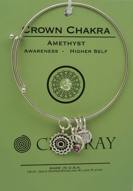 Clea Ray Silver Chakra Symbol Bangle Bracelets