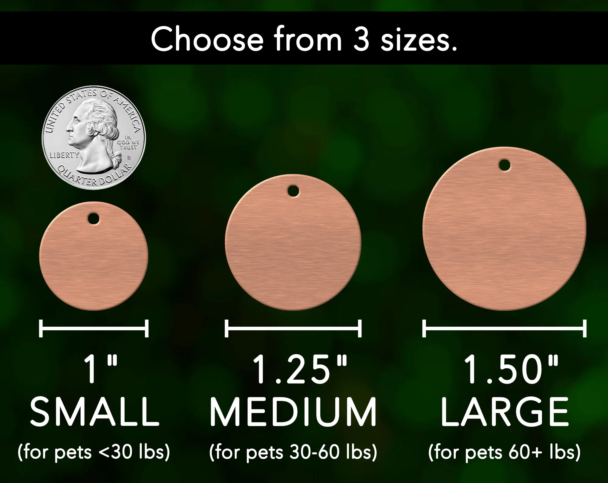 Crown Dog Tag