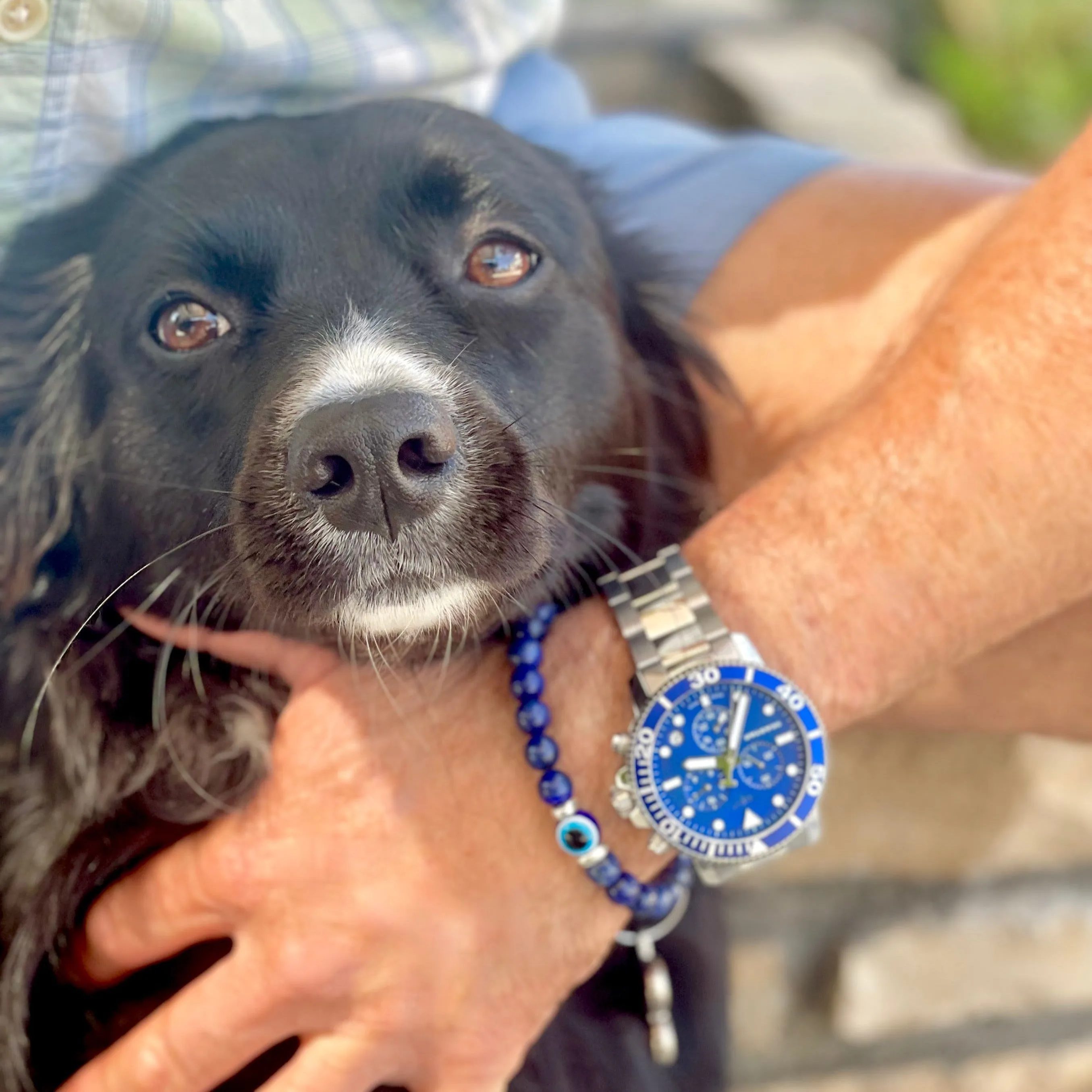 lazuli eye mens bracelet